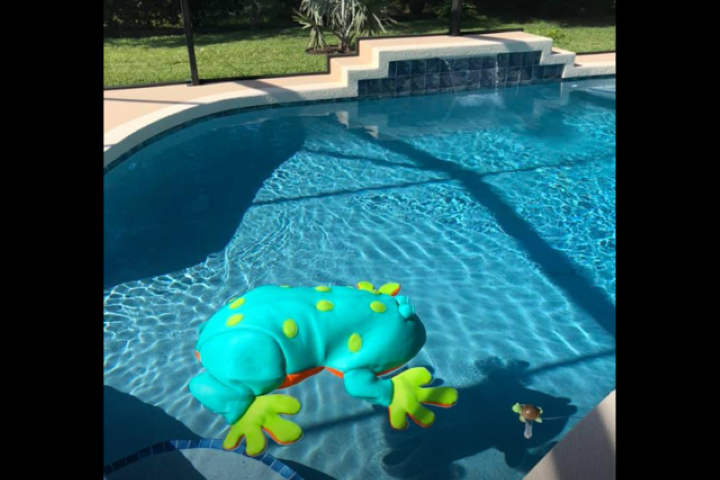 Swimming Pool with Frog